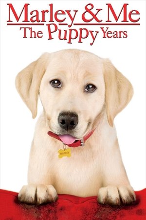 Marley &amp; Me: The Puppy Years (2011)
