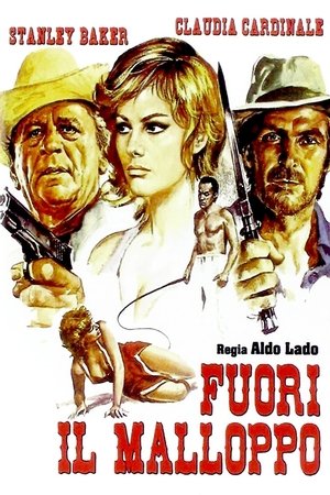 The 21 Carat Snatch (1971)