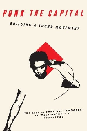 Punk the Capital Building a Sound Movement (2019)