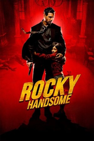 Rocky Handsome (2016)