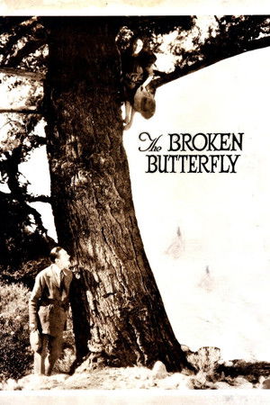 The Broken Butterfly (1919)