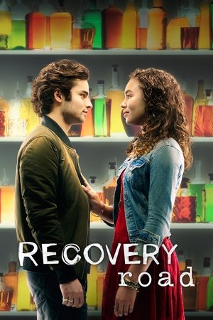 Recovery Road (TV Series 2016 )