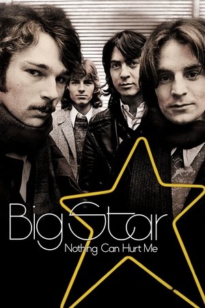 Big Star Nothing Can Hurt Me (2012)