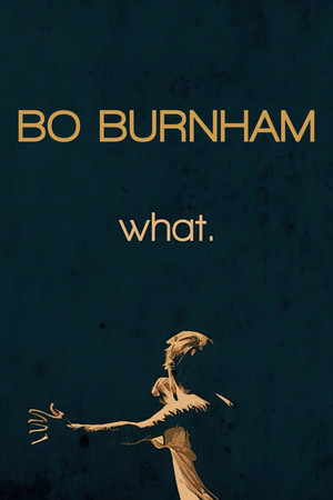 Bo Burnham: what. (2013)