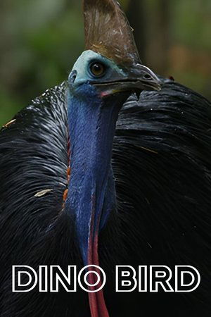 Dino Bird (2017)