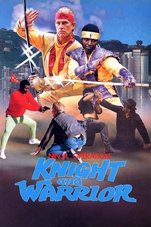 Ninja Silent Assassin (1987)