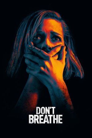 Dont Breathe (2016)