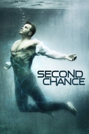 Second Chance (TV Series 2016 )