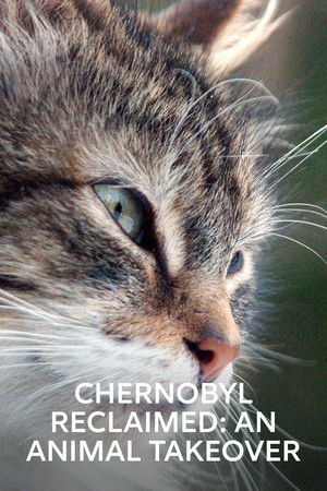Chernobyl Reclaimed An Animal Takeover (2007)