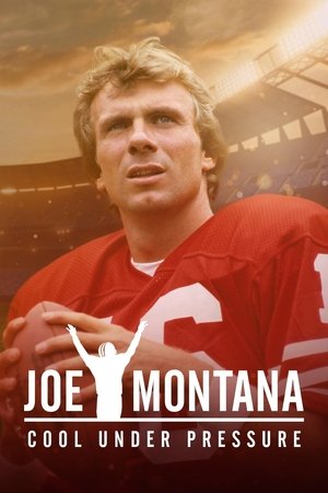 Untitled Joe Montana Documentary (2022-)