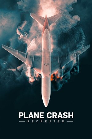 Plane Crash Recreated (2021-)