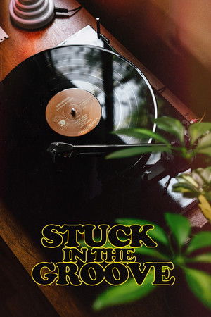 Stuck in the Groove A Vinyl Documentary (2021)