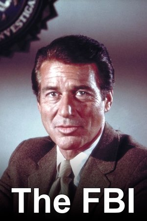 The F.B.I. (19651974)