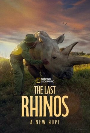 The Last Rhinos A New Hope (2025) Poster