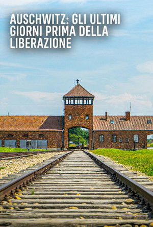 Auschwitz Countdown to Liberation (2025) Poster