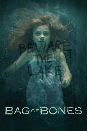 Bag of Bones (2011)