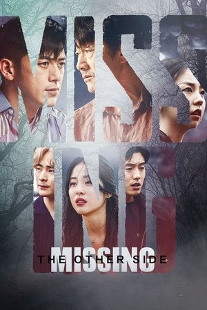 Missing The Other Side (2020-)