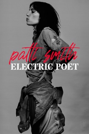 Patti Smith, la poesie du punk (2022)
