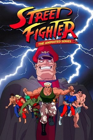 Street Fighter: The Animated Series (19951997)