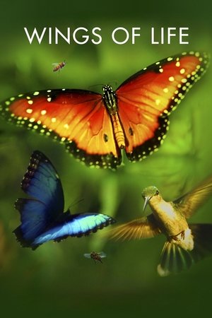 Disneynature: Wings of Life (2011)