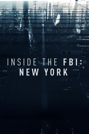 Inside the FBI: New York (2017ï¿½)