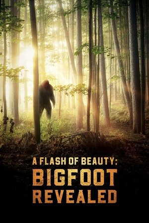 A Flash of Beauty Bigfoot Revealed (2022)