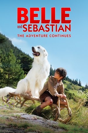 Belle Sebastian The Adventure Continues (2015)