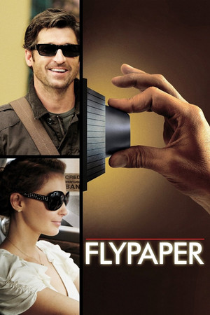Flypaper (2011)