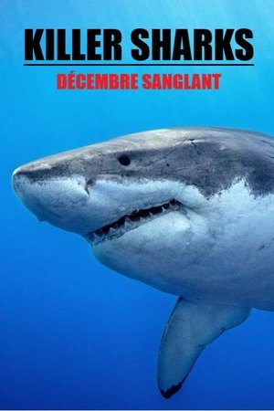 Killer Sharks The Attacks of Black December (2011)