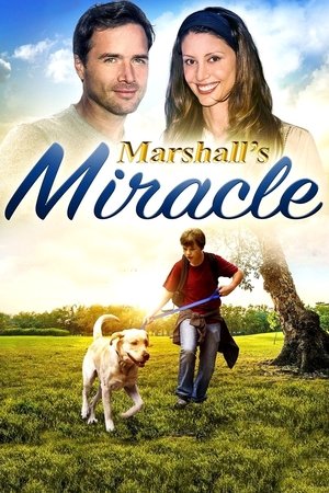 Marshalls Miracle (2015)