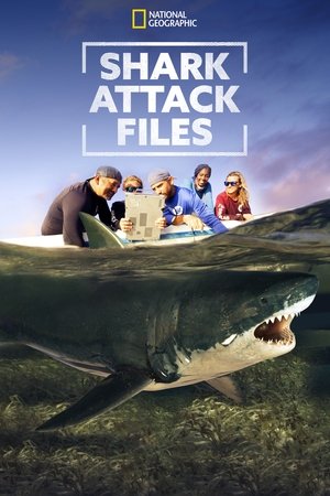 Shark Attack Files (2021 )