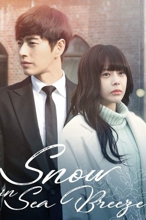 Snow Is on the Sea (2015)