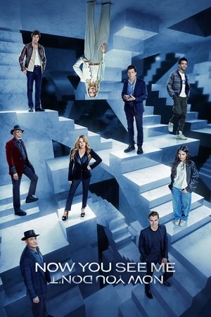 Now You See Me Now You Dont (2025)