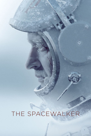 Spacewalk (2017)