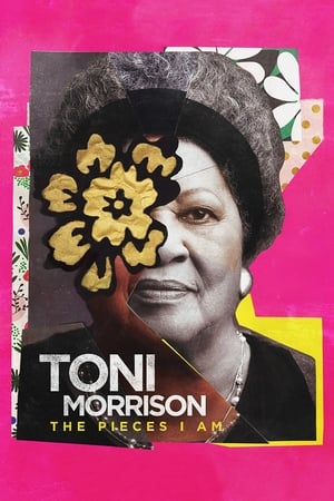 Toni Morrison The Pieces I Am (2019)