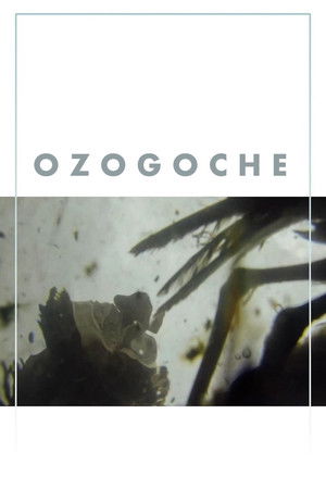 Ozogoche (2024)