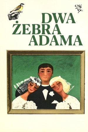 Dwa zebra Adama (1964)
