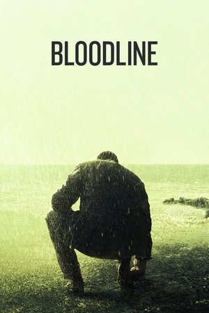 Bloodline (TV Series 2015)