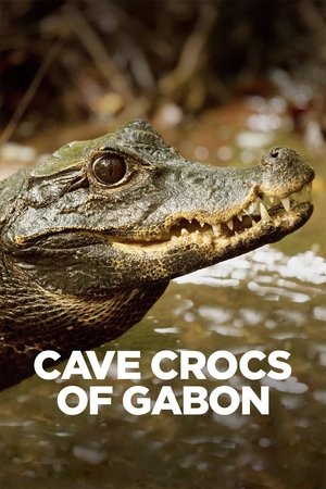 Cave Crocs of Gabon (2018)