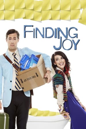 Finding Joy (2013)