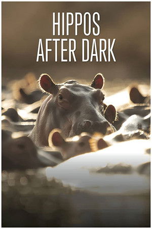 Hippos After Dark (2015)