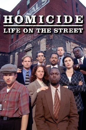 Homicide: Life on the Street (19931999)