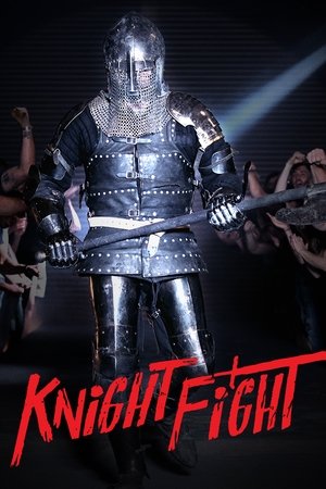 Knight Fight TV Series (2019 - )