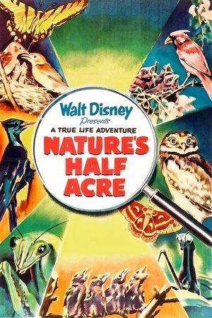 Natures Half Acre (1951)