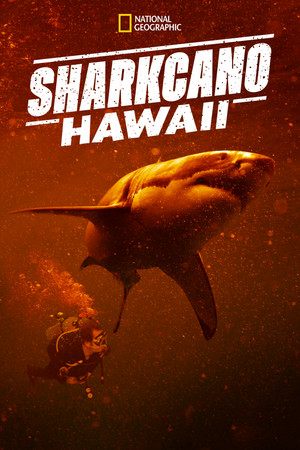 Sharkcano Hawaii (2023)