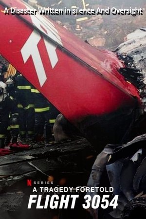 A Tragedy Foretold Flight 3054 (2025)