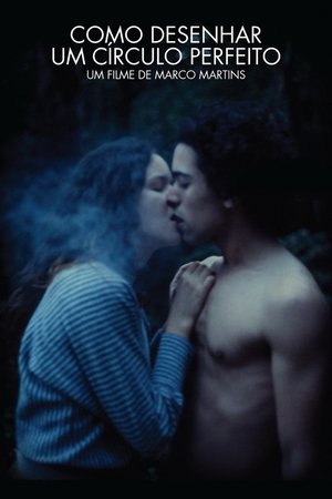 How to Draw a Perfect Circle (2009)