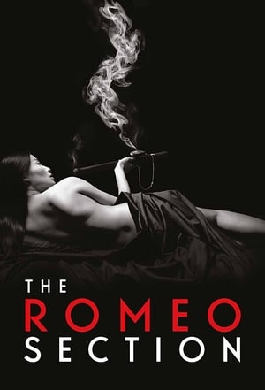 The Romeo Section (2015 2016)