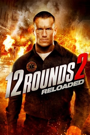 12 Rounds 2 (2013)