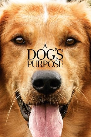 A Dogs Purpose (2017)